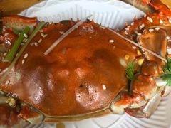 -海帮主·蒸汽海鲜青岛菜(栈桥火车站店)