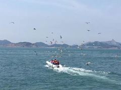-海驴岛(荣成市)