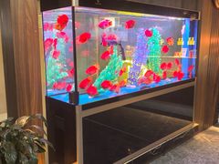 -臻享养生·SPA·影院式足道(汇臻店)