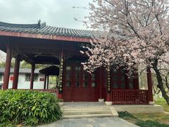 -堤角公园