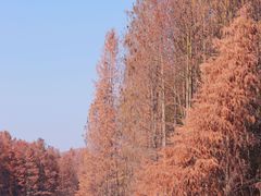 -尚湖风景区