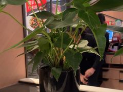 -新旺茶餐厅·早餐·夜宵(仙霞店)
