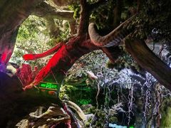 -多彩贵州城极地海洋世界