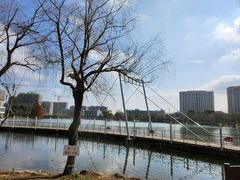 -海天湖公园