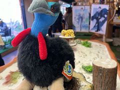 -ZOO COFFEE动物园咖啡(红山森林动物园店)