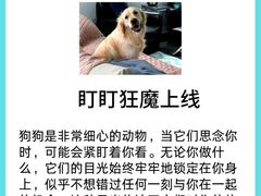 -亚宠动物医院·芭比堂宠物医院(盘龙店)