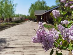 -永定河休闲森林公园