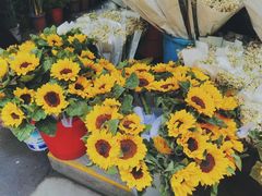 -循礼门鲜花花市(武汉循礼门店)