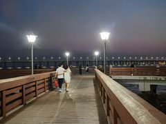 -宝安西湾红树林湿地公园