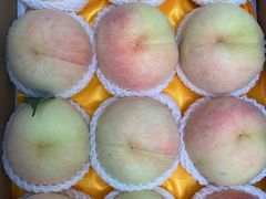 -老袁家蜜桃农场·阳山水蜜桃