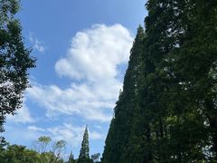 -花溪公园