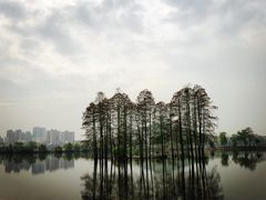-东湖食堂·湖景餐厅•会议