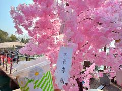 -金鸡湖桃花岛
