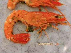 -Hi City·城市之巅