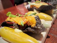 海胆配香脆米片-TOMATITO(无限极荟店)