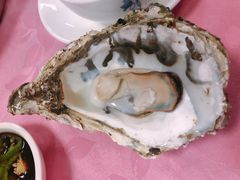 -蠔园山庄(礼乐食街店)