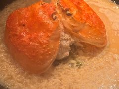 -地球美食剧场