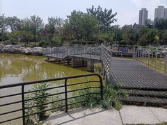 -绿岛公园(滨海新区)