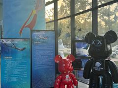 -西安电影制片厂