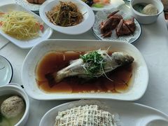 -云中小雅