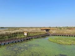 -宁波杭州湾国家湿地公园
