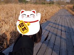 -白鹭湾湿地公园