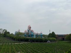 -季高兔窝窝亲子园(上海薰衣草公园店)