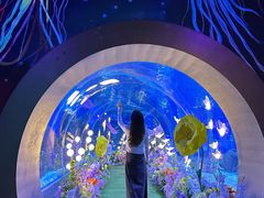 -顺德南宏海立方海洋公园