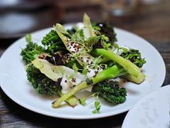 -Ocean's Table 欧舍