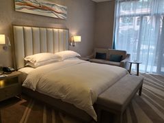 -圣爵菲斯大酒店(长沙世界之窗店)