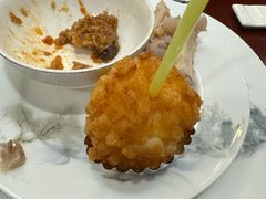 -丁老爷子苏香圆