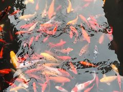 -杭州上天竺法喜讲寺