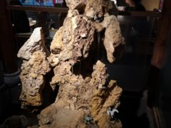 -卞氏菜根香(青羊万达店)