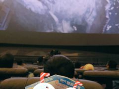 -寰映影城(大融城激光IMAX店)