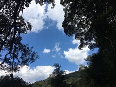 -清迈丛林飞跃 JungleFlight