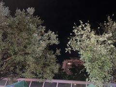 -叁宝烤肉• 西安烧烤(太乙路店)