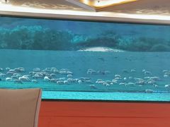 -巴音浩日娲·蒙餐(双林东路店)