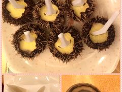 -亚龙湾海底世界