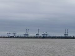 -大湾区中央湿地公园
