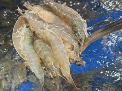 -亚马逊海鲜自助(梅溪湖步步高店)