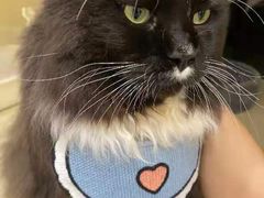 -Pets First伊珊娜洗护·精致美容·家庭式寄养(新会路店)