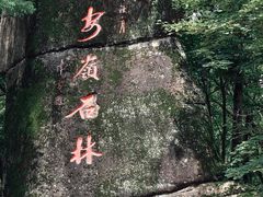 -汤旺河林海奇石景区