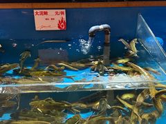 -鼎原力量东北吊炉烧烤(幸福街店)