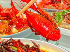-杨氏青龙虾·羊蝎子(金盛路总店)
