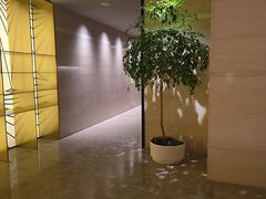-汤泉良子·沐足·颂钵疗愈·SPA(珠江新城店)
