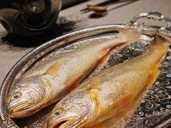 野生大黄鱼-新荣记(BFC外滩金融中心店)