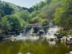 -北京西山国家森林公园