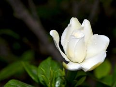 -顺水鱼馆(克西路店)