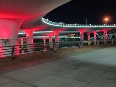 -演武大桥观景平台