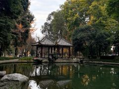 -温江公园